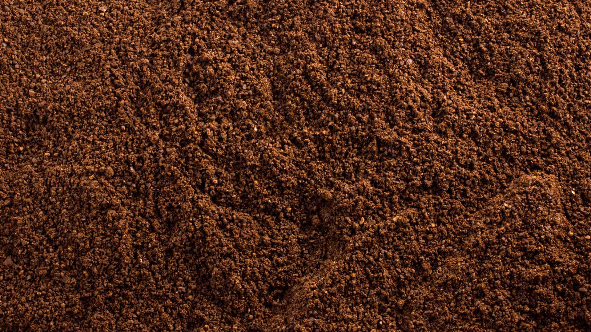 Coffee Grounds